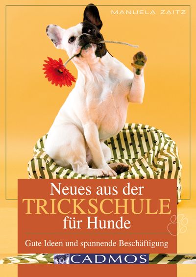 Neues aus der Trickschule